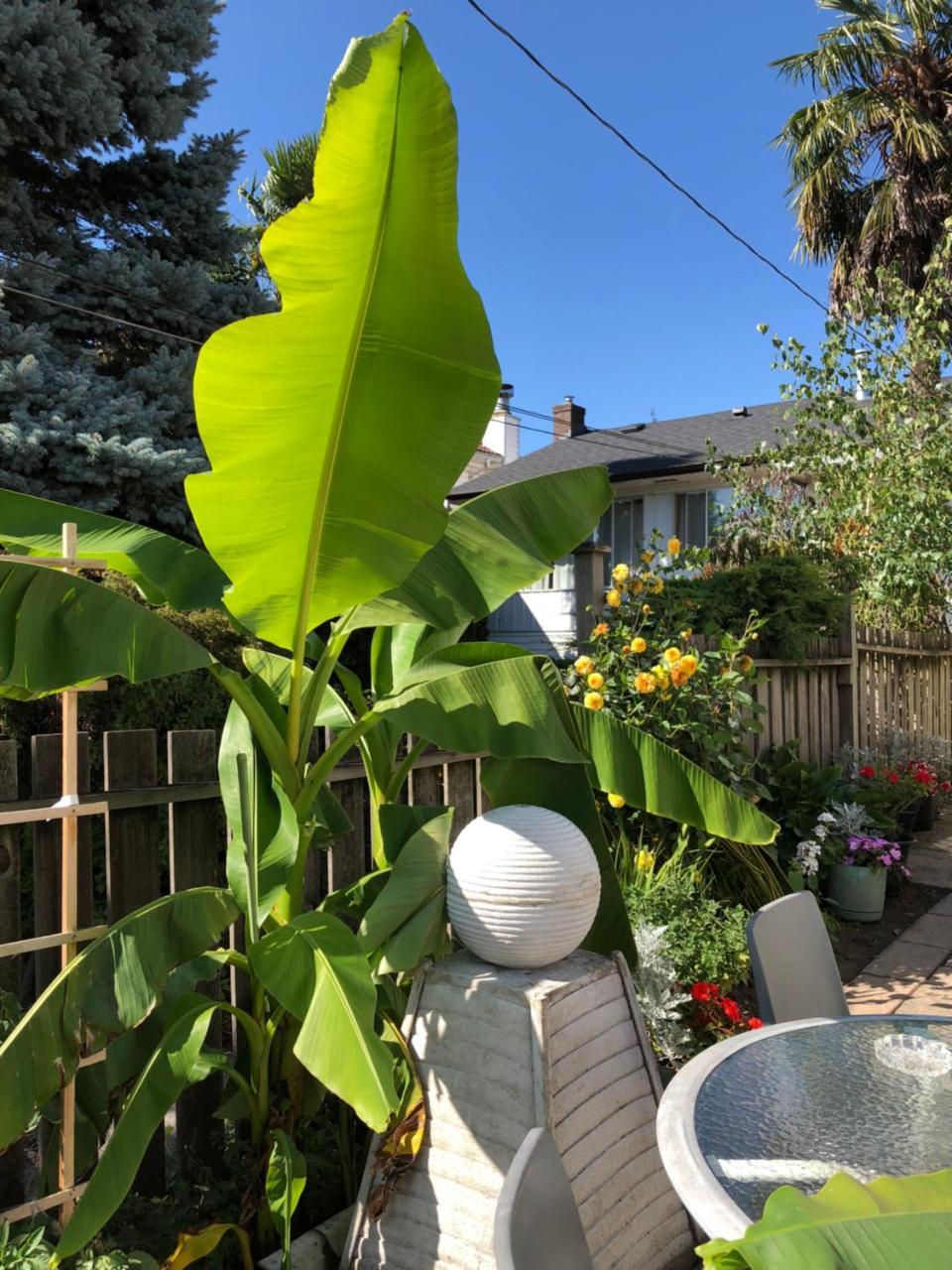 Cozy Bedrooms Guest House Vancouver Esterno foto